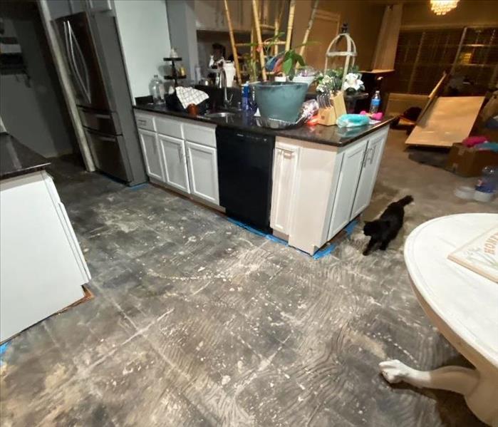 kitchen with wood flooring removed after water loss