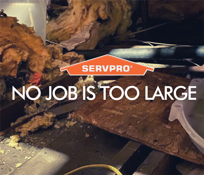 "No Job is too large" on top of collapsed ceiling