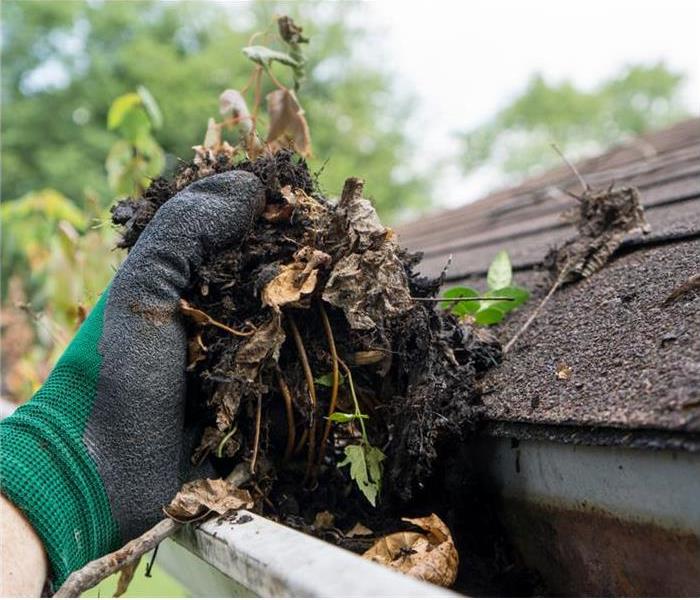 hand with green glove removing debris from gutter