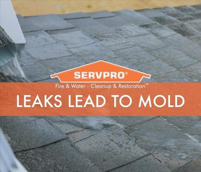 Leaks Lead to Mold